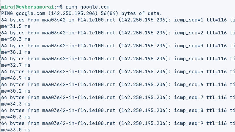 Ping Domain Address